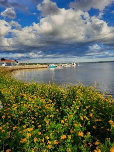 Willow House Inn B&B Pictou Exterior foto